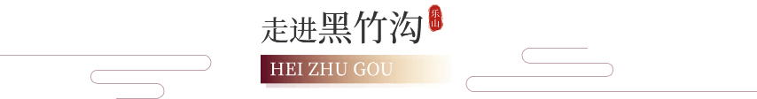 走进黑竹沟